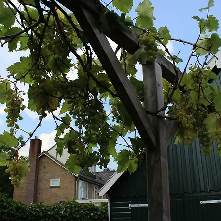 Casa de hóspedes Het Tuinatelier Brummen